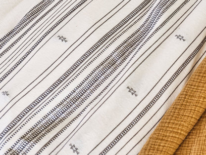 Coyuchi + Rejuvenation Inyo Organic Dobby Sham - Rinnovato